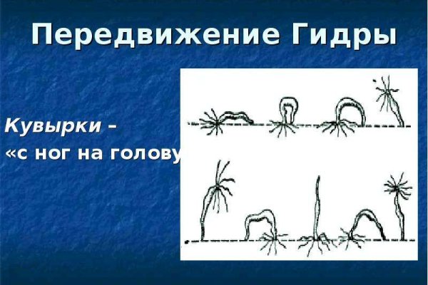 Darknet магазин