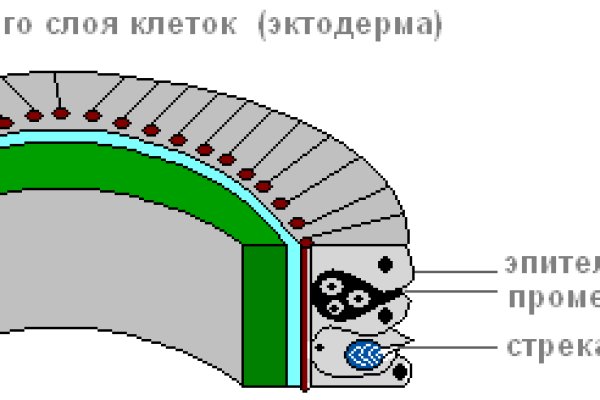 Кракен маркетплейс в москве