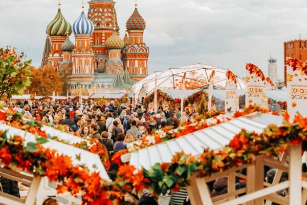 Где найти ссылку кракен